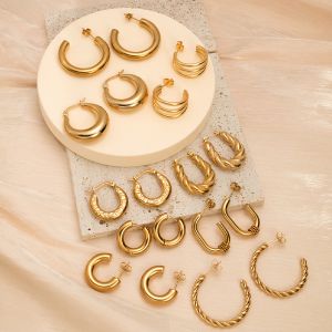 Fashion Ms-5.0*30c Shaped Hollow Gold Stainless Steel Geometric Earrings