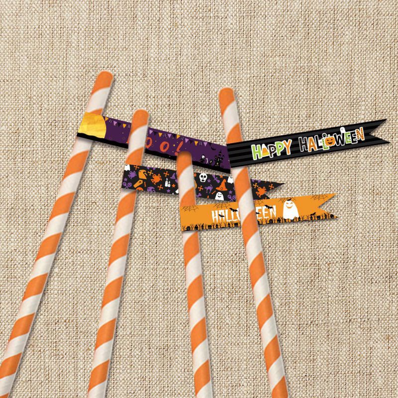 Fashion Style 1 (13*1cm) Halloween Printed Straws