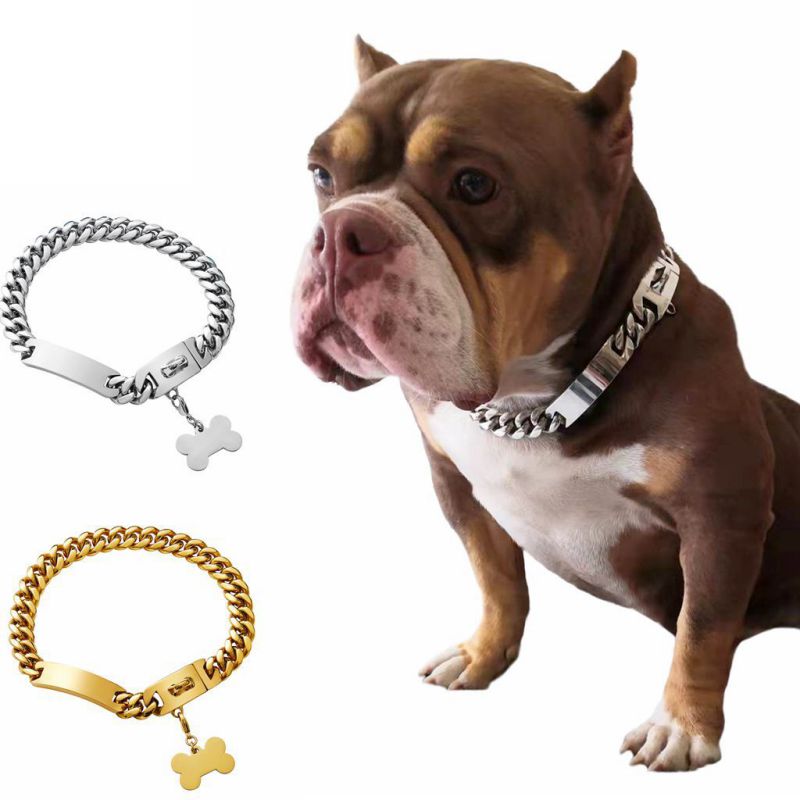 Collar Para Mascotas Con Cadena De Acero Inoxidable