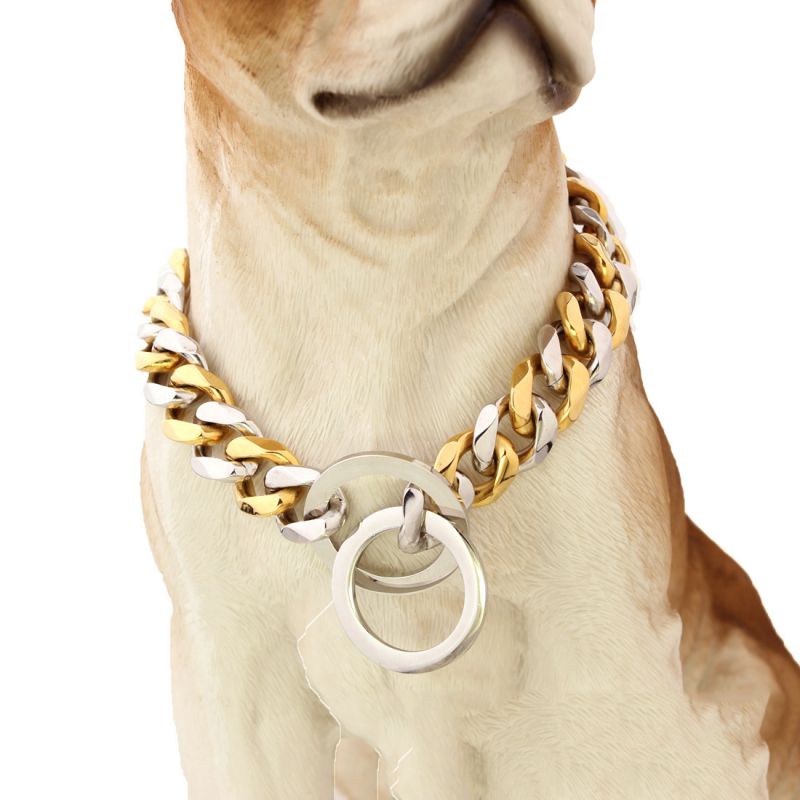 Collar Para Mascotas Con Cadena De Acero Inoxidable