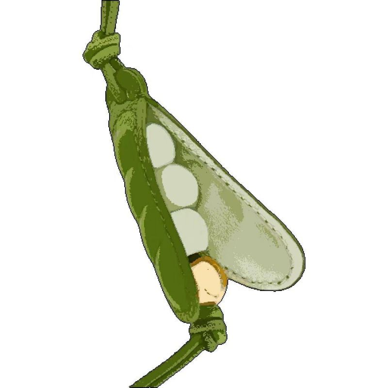 Pea Pendant Genuine Leather Pea Phone Chain