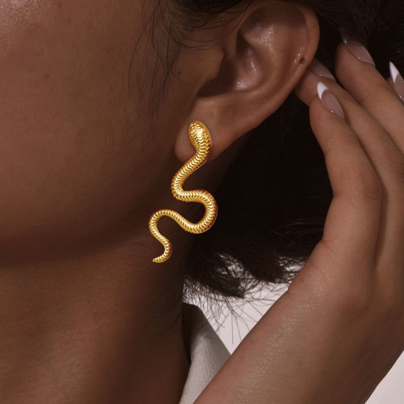 Pendientes De Serpiente De Acero Inoxidable