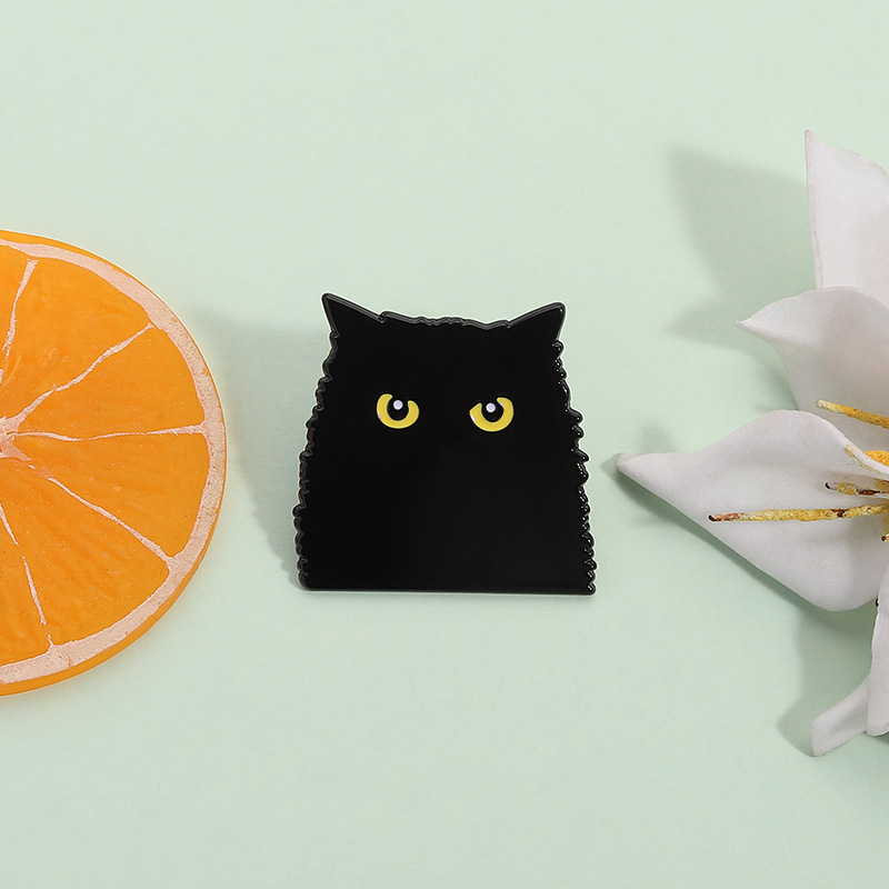 Broche De Gatito De Dibujos Animados