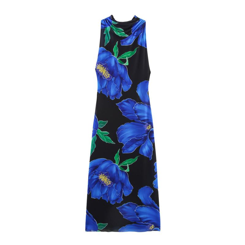 Blue Mesh Printed Sleeveless Maxi Dress