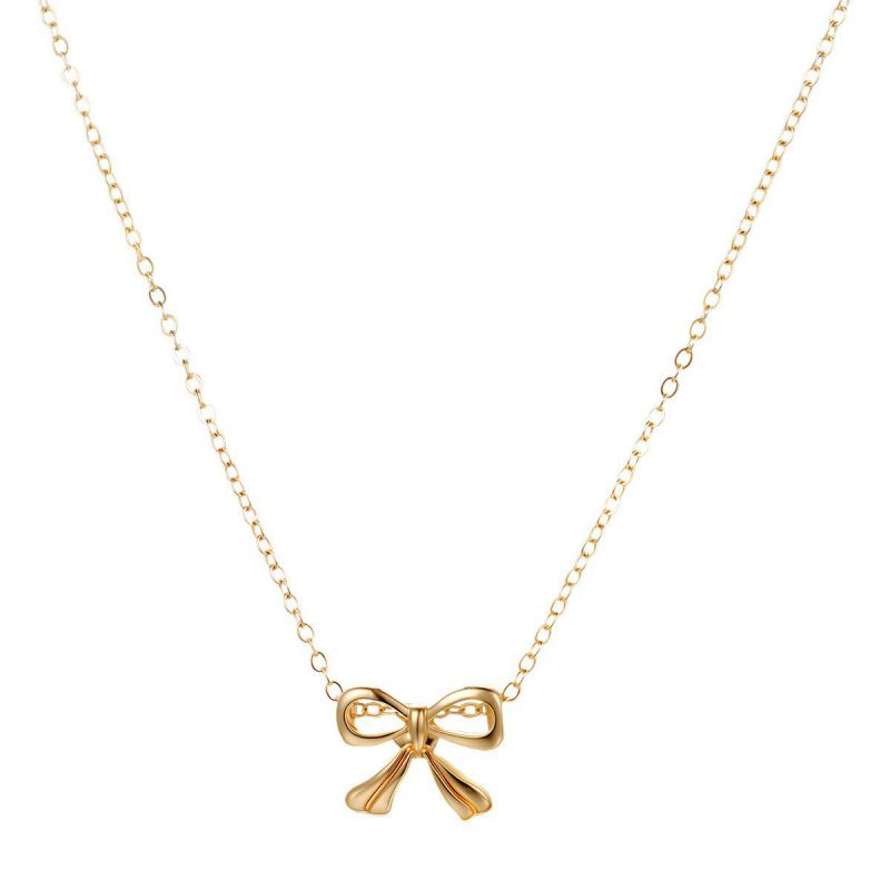 Collar De Lazo De Aleación
