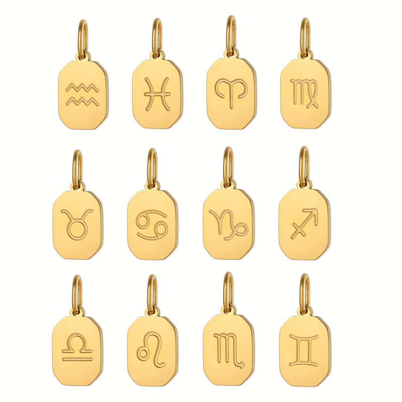 Etiqueta Colgante De Acero Inoxidable Con Los 12 Signos Del Zodíaco (sin Cadena)