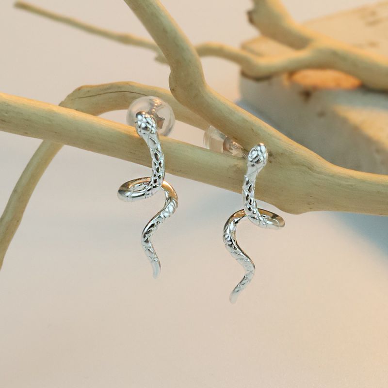 Pendientes De Serpiente De Plata